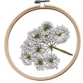 thumbnail image 1 of SUTENGDA AUQ Punch Needle Kit Embroidery Craft Punch Needle Kits Adults Beginner Multi-Purpose Diy Kit Cross Stitch Kits, 1 of 3
