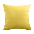 thumbnail image 2 of Dvruxg Velvet Throw Pillow Covers 16x16 Inch - Soft Square Decorative Cushion Cover for Couch, Sofa, 2 of 5