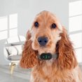 thumbnail image 4 of Collier Automatique pour Aboiements de Chien, Dissuasif Intelligent pour Aboiements de Chien avec Son, Vibration, Choc Électrique, 4 Entraînements, 4 of 8