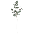 thumbnail image 1 of Bouclair Tige d'Eucalyptus Artificielle Verte, 1 of 3