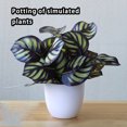 thumbnail image 3 of fastboy Artificial Potted Plant Leaf Simulation Leaves Home Office Desktop Greenery Decoration, Plant Type 8, 3 of 5