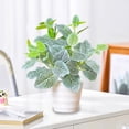 thumbnail image 4 of Czzoypi Artificial Green Plants Simulation Potted Clearance (Multicolor), Artificial Green Plants Simulation Potted Home Office Hotel Lobby Decoration Green Plants Home Decoration Artificial Plants, 4 of 6