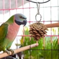 thumbnail image 3 of Birdeem Toy Pinecone Soothing Supplies, 3 of 8