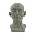 thumbnail image 1 of Planar Head Model For Artists Learn Planes of Face Human Head Model GT X1 Hot C9 N1F7, 1 of 1