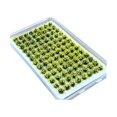 thumbnail image 3 of jifeng Artificial DIY Miniature Flower Cluster Grass Tufts Diorama Layout Scenery Model Light Yellow, 3 of 9
