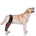 thumbnail image 4 of Dog Knee Brace Diving Material Adjustable for Cruciate Ligament Injury Recovery, 4 of 4