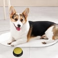 thumbnail image 4 of KTTECTOA Dog Barking Dinner Pet Communication Button Training Talking Toy Recording Vocalizer Extrusion Box Voice Sound Box Clearance Christmas Canada Days Kids Games Boy Toys, 4 of 8