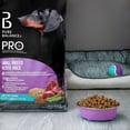 thumbnail image 3 of Pure Balance Pro+ Small Breed, Lamb & Rice Recipe Dry Dog Food 3.5KG, 3 of 8