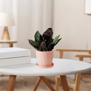 Kadlawus Flower Pot for Plants, Scandinavian Style Resin Planter, Concise Thickened Plastic Imitation Ceramic, Large Gallon Household Pot for Indoor Greenery