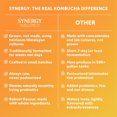 thumbnail image 2 of Synergy The Real Kombucha Mystic Mango, 2 of 6