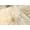 GOLD, variant on NEW ZEALAND SHEEPSKIN SEXTO RUG 5' X 6'
