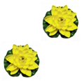thumbnail image 4 of QualitChoice Artificial Lotus Replacement Simulation Outdoor Garden Park Pond Pool Photography Fake Water Flower Decor Yellow 2PCS, 4 of 6
