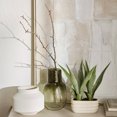 thumbnail image 3 of BOUCLAIR Plante Artificielle avec pot ovale, 3 of 6