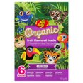 thumbnail image 2 of Jelly Belly Organic Fruit Flavoured Snacks, 2 of 11