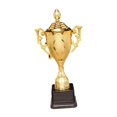 thumbnail image 2 of tredstone Award Trophy Kids Small Trophies Rewards Props for Competition Celebrations 21.5cm, 2 of 9