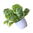 thumbnail image 2 of fastboy Artificial Potted Plant Leaf Simulation Leaves Home Office Desktop Greenery Decoration, Plant Type 8, 2 of 5