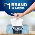 thumbnail image 5 of Scotties Original Everyday Care Facial Tissue, Hypoallergenic and Dermatologist Tested, 9 Boxes, 126 Tissues per Box, 9 Boxes, 126 Tissues per Box, 5 of 5