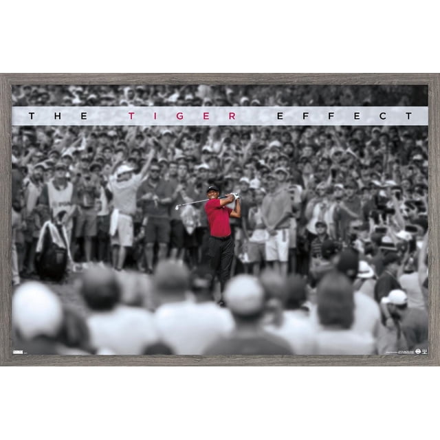Tiger Woods - The Tiger Effect Wall Poster, 22.375" x 34", depicts a golfer in a red shirt and black pants swinging a golf club, highlighted in color against a black-and-white crowd background with 'THE TIGER EFFECT' text above, suitable for home décor and sports enthusiasts.