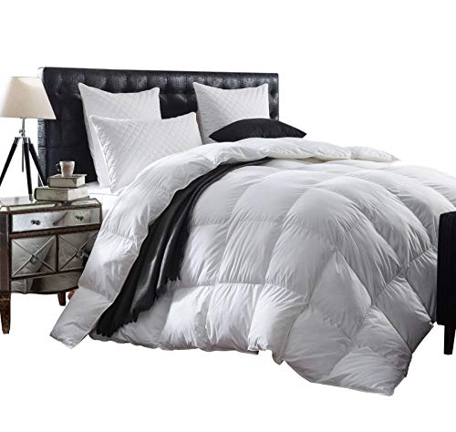 Luxurious 1200 Thread Count Goose Down Comforter Duvet Insert, Twin Size, 1200TC - 100% Egyptian Cotton Cover, Hypoallergenic, 50 oz Fill Weight, White Color