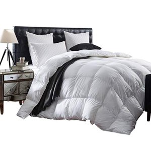 Luxurious 1200 Thread Count Goose Down Comforter Duvet Insert, Twin Size, 1200TC - 100% Egyptian Cotton Cover, Hypoallergenic, 50 oz Fill Weight, White Color
