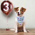 thumbnail image 3 of VONKY Pet birthday drool bib scarf, 3 of 9