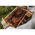 thumbnail image 4 of Harvest Lane Honey Beekeeping Jacket, Large, 4 of 9