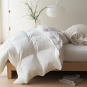 Maple&Stone Feather Down Duvet Queen Size All Season Duvet Insert with Corner Tabs Comforter with Cotton Cover ( x es)