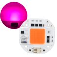 thumbnail image 4 of LED Grow Light Bead ,High Brightness Full Spectrum Aluminum Base Lamp Chip Module for Plant Growth Suitable for DIY Modeling Lamps and Other Lighting Products Long Service Life, 4 of 7