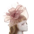 thumbnail image 1 of Coofit Fascinateur pour Femmes Mode Élégant Pince à Cheveux Fascinateur Fête du Thé Fascinateur, 1 of 6