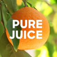 thumbnail image 5 of Tropicana 100% Orange Juice - No Pulp, 3.78L, 5 of 5