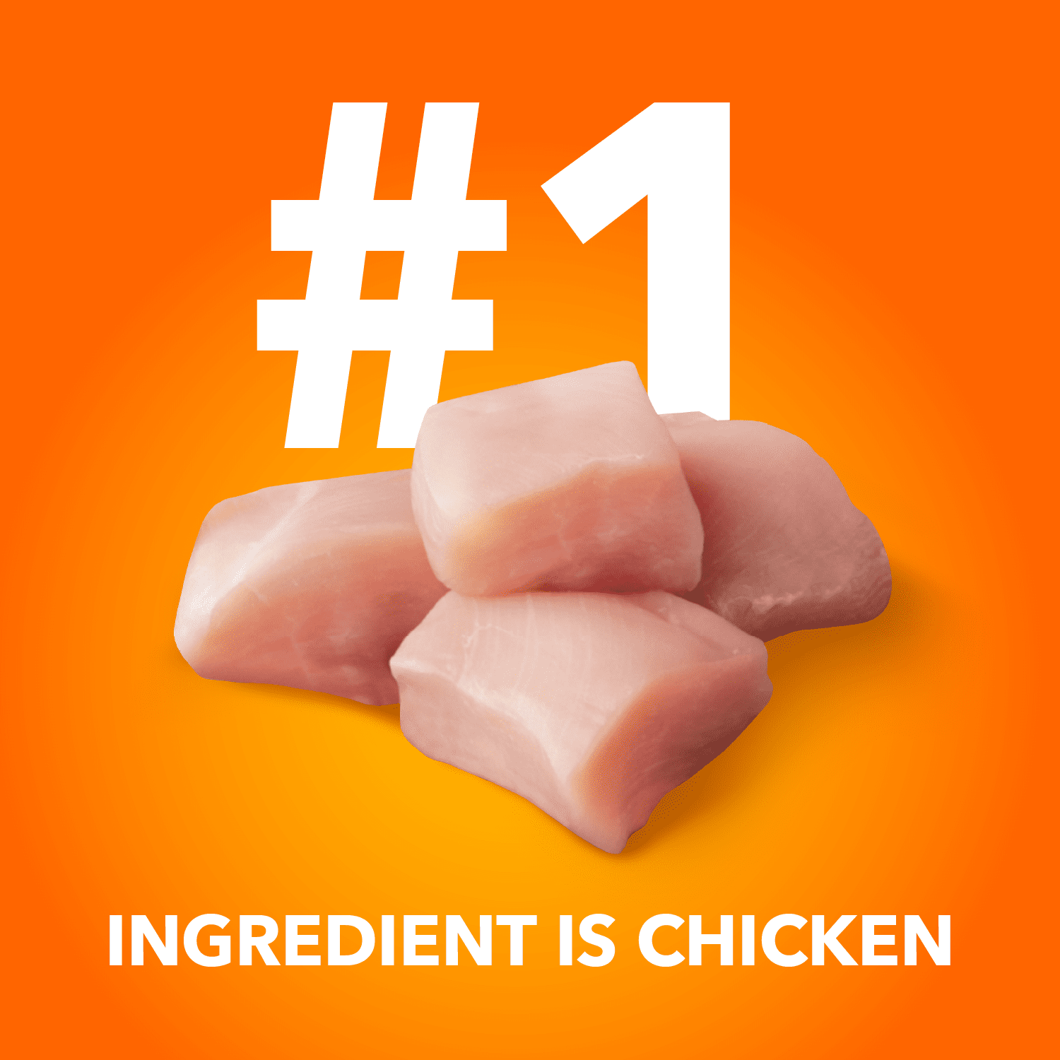 Nourriture humide sans céréales pour chatons IAMS PERFECT PORTIONS Healthy Kitten Pâté recette au poulet