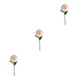 thumbnail image 3 of Baohd 1/2/3/5 10pack/lot Realistic Appearance Artificial Flower For Party Decor And Home Decor Champagn Pink 3PCS, 3 of 6