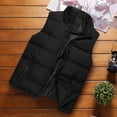 thumbnail image 2 of Pisexur Gilet Matelassé pour Homme, Extérieur, Décontracté, Col Montant, Veste Rembourrée, Manteau, Gilet, 2 of 9