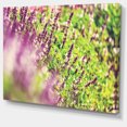 thumbnail image 2 of Belles Fleurs de Menthe dans le Jardin - Impression sur Toile Florale, 2 of 3