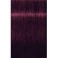 thumbnail image 2 of Schwarzkopf Igora Royal 6-99 Blond Foncé VIOLET EXTRA, 60 g, 2 of 2