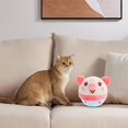 thumbnail image 4 of CSEONEO Gift for kids,Bouncing Ball USB Interaction Beating Sing Jump Children's Holiday Gift, 4 of 6