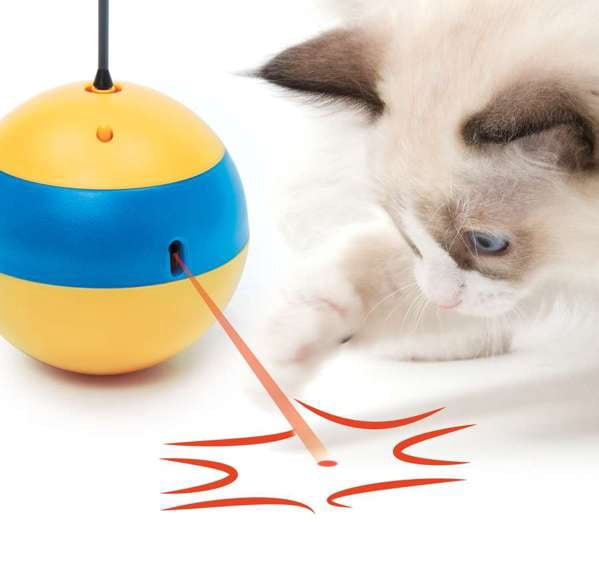 Catit Play Spinning Bee Cat Toy