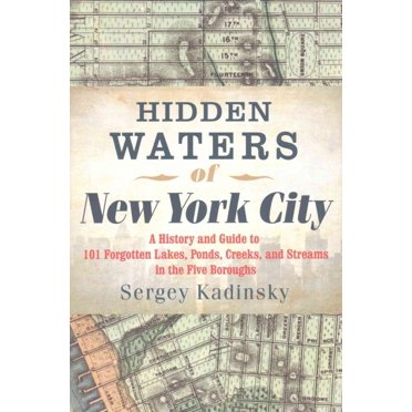 Hidden Waters of New York City, Sergey Kadinsky Paperback