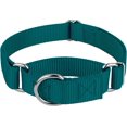 thumbnail image 1 of Country Brook Petz - Collier pour Chien Martingale - Collier d'Entraînement Robuste Sans Boucle - Collier de Service pour Tous les Chiots - Plus de 10 Couleurs Cool (Sarcelle, 1 Po, Moyen), 1 of 8