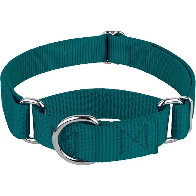 Country Brook Petz - Collier pour Chien Martingale - Collier d'Entraînement Robuste Sans Boucle - Collier de Service pour Tous les Chiots - Plus de 10 Couleurs Cool (Sarcelle, 1 Po, Moyen)