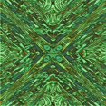thumbnail image 1 of Ahgly Tapis d'Intérieur Lavable en Machine Carré Vert Forêt Foncé, 6 Pieds Carré, 1 of 7