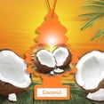 thumbnail image 3 of LITTLE TREES air freshener Coconut 3-Pack, 3 of 10