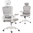 thumbnail image 1 of HOMCOM Chaise de Bureau Ergonomique, Chaise de Bureau avec Soutien Lombaire, Gris, 1 of 10