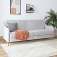 thumbnail image 1 of DHP Jasper Coil Futon, 1 of 9