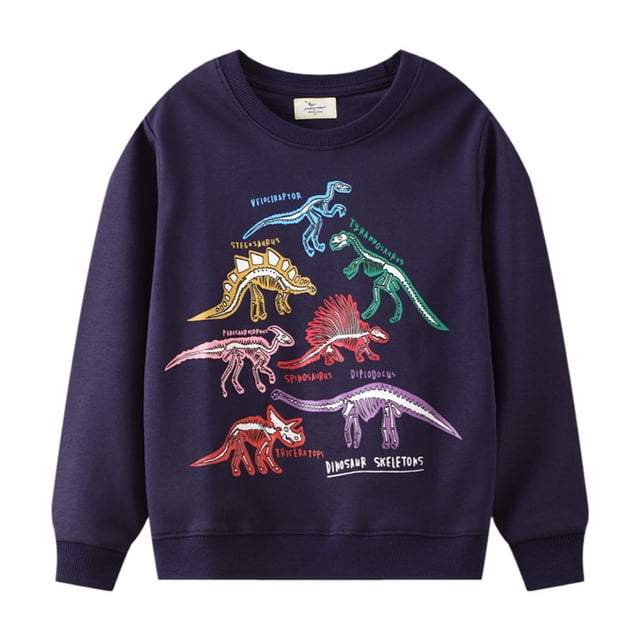 Chandail Molletonné à Col Rond en Coton à Manches Longues pour Petits Garçons, Dinosaures, Chandail Molletonné Décontracté à Motif de Dessin Animé