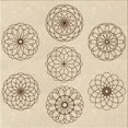 thumbnail image 1 of Ahgly Company Tapis d'Intérieur Lavable en Machine Carré Transitionnel Pérun Brun, 8 Pieds Carré, 1 of 7