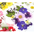 thumbnail image 4 of Natural Real Dried Flower Plants For Candle Epoxy Resin Jewelry Making Craft DIY, 4 of 7
