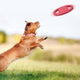 thumbnail image 2 of Pet Dog Flying Disc EVA Dog Training Ring with Double Handles Dog Flyer Toys Outdoor Activity Fetch Toy, 2 of 7