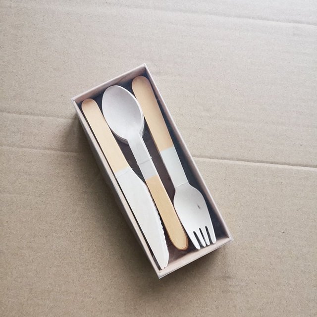 Zhuge 24pcs Disposable Cutlery Set -Biodegradable Picnic Outdoor Birch Cutlery Spoon Box-Orange