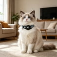 thumbnail image 4 of Ainf 3 Pack Cat Collar With & Buckle Reflective Print Nylon Collar With Protective Holder Adjustable Lost Collar For Small Cats &, 4 of 6